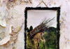 Stairway To Heaven — Кормильцев