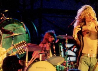 Страх и ужас в Тампе