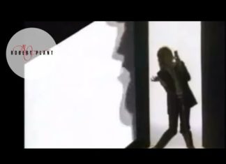 Rockin’ At Midnight