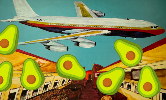 Avocado
